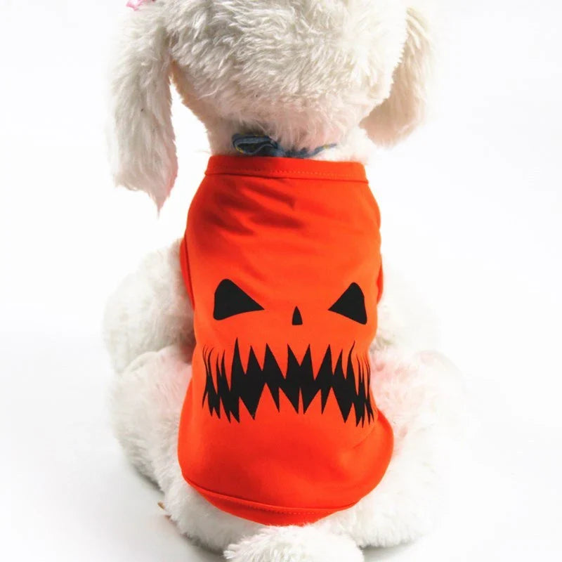 Halloween Pet Pumpkin Costume for cats and small to medium dogs in orange with smiley or grimace options