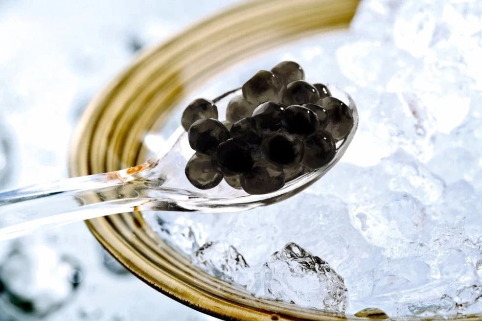 Caviar extract hair care set with 120ml and 60ml bottles for repairing damaged hair