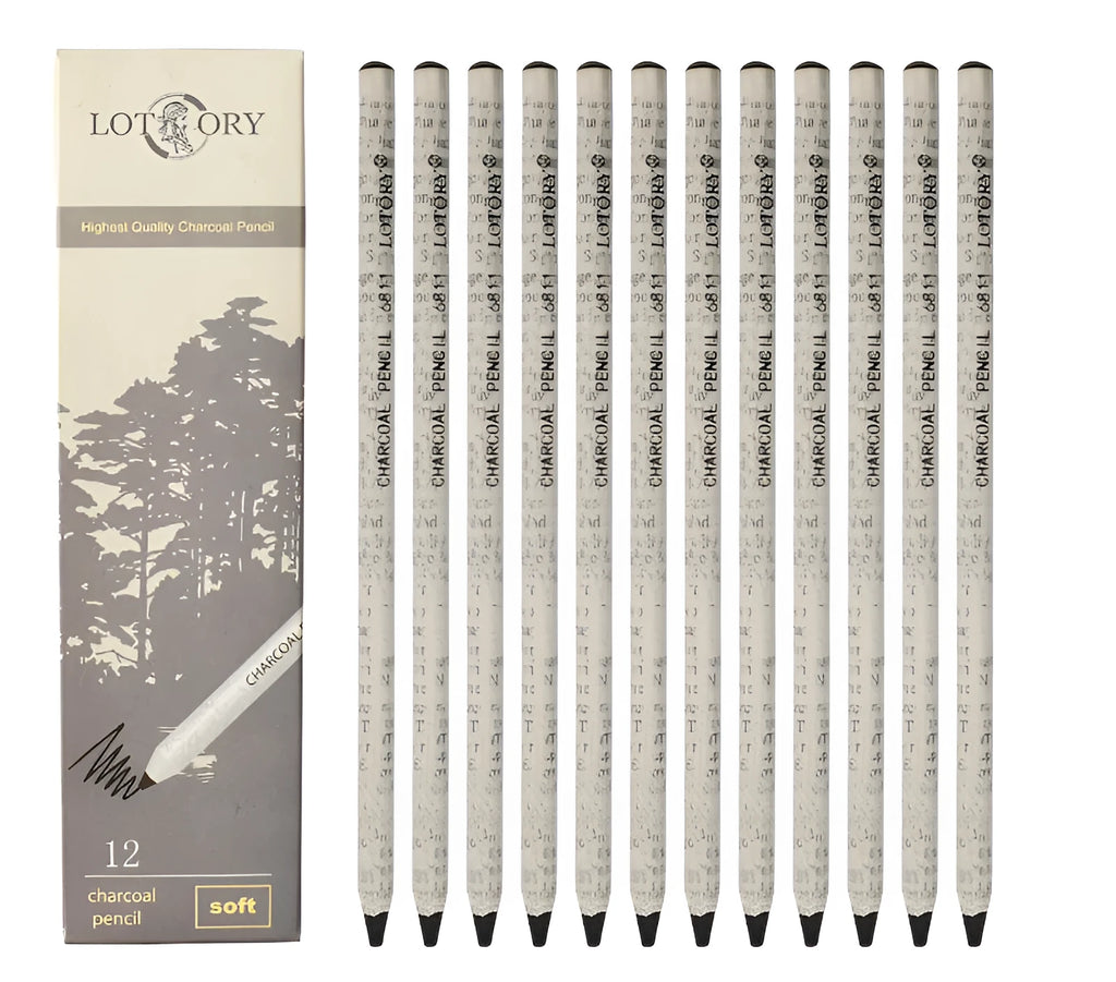 Professional children's soft charcoal drawing set with multiple pencil grades and charcoal sticks