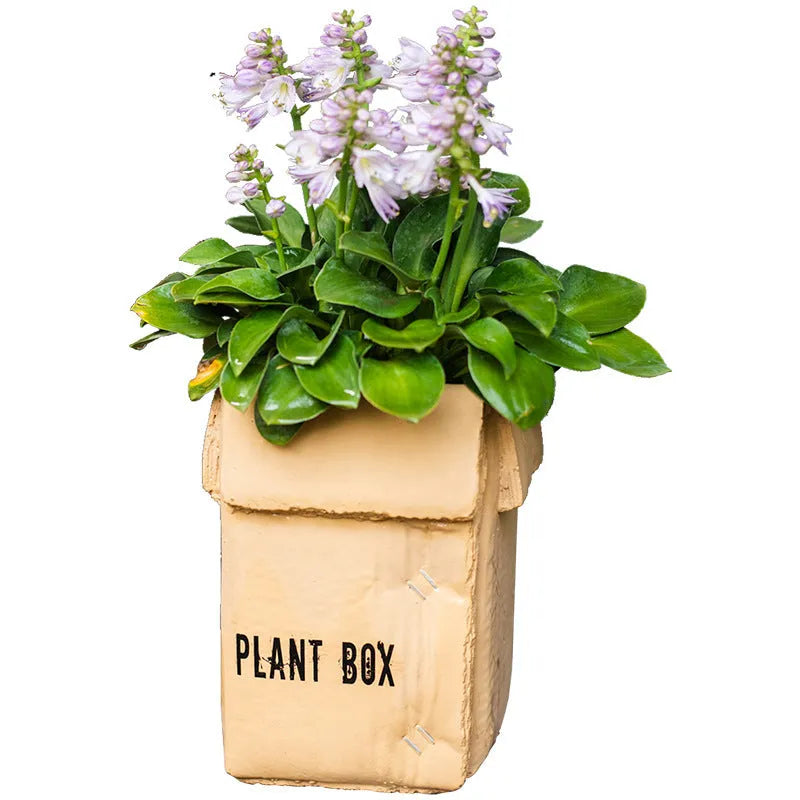 Cement brown paper box style flowerpot with drainage holes for indoor plants.