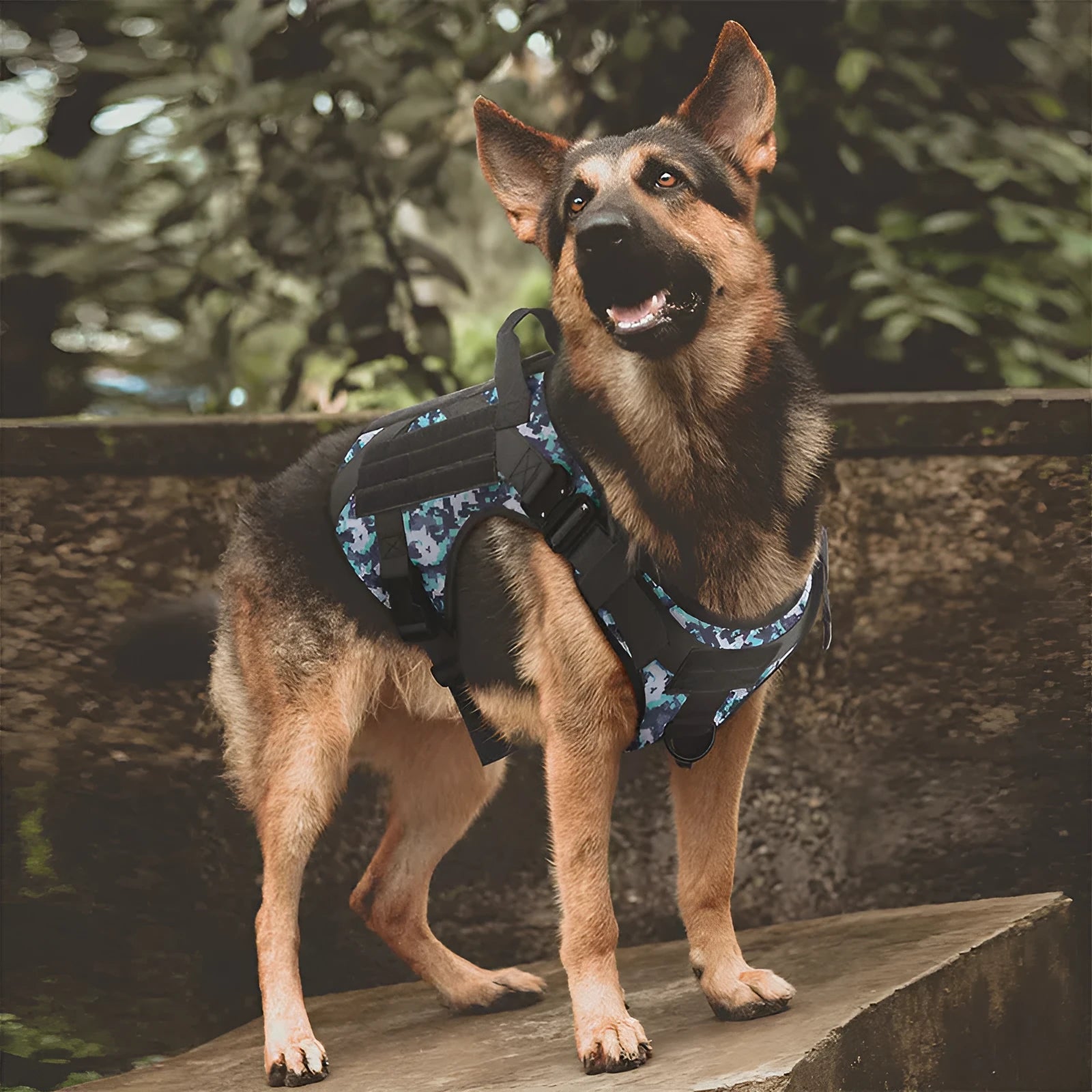 Tactical camouflage dog harness for large breeds with 4 adjustable straps and quick release buckles
