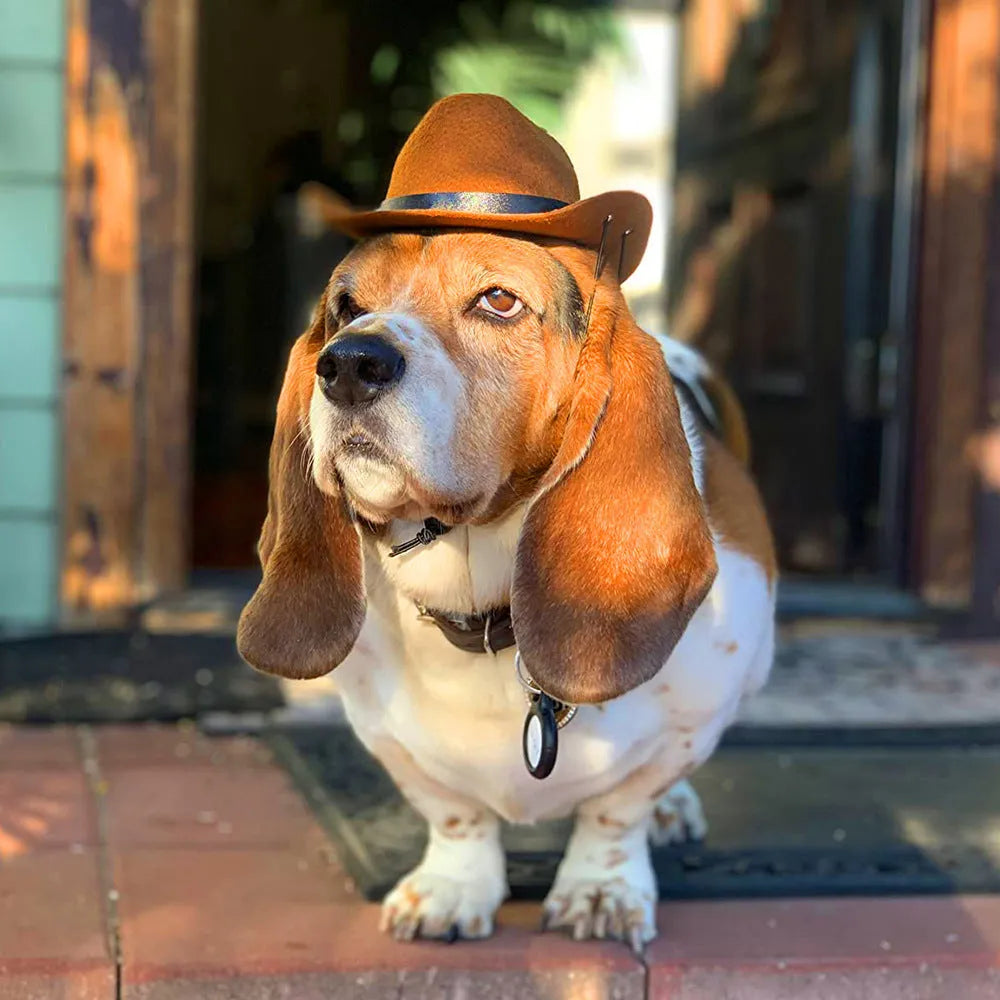 Adjustable cowboy hat for pets in black, brown, burgundy, or coffee colours