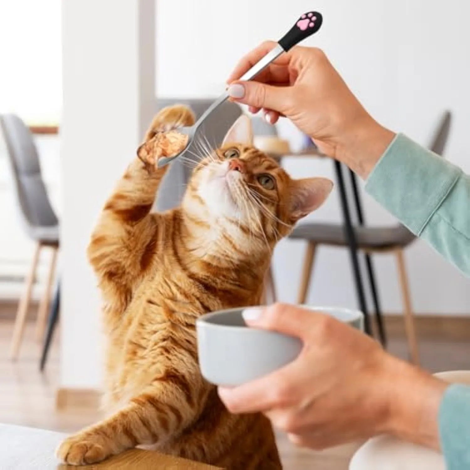 Two stainless steel pet food spoons with white and black silicone handles featuring a cat paw print design.