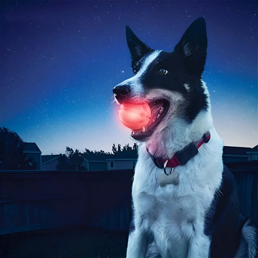 Blue TPR high-elastic honeycomb luminous dog toy ball on white background