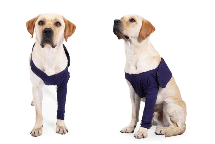 Dark blue anti-licking sleeve for dogs postoperative leg recovery