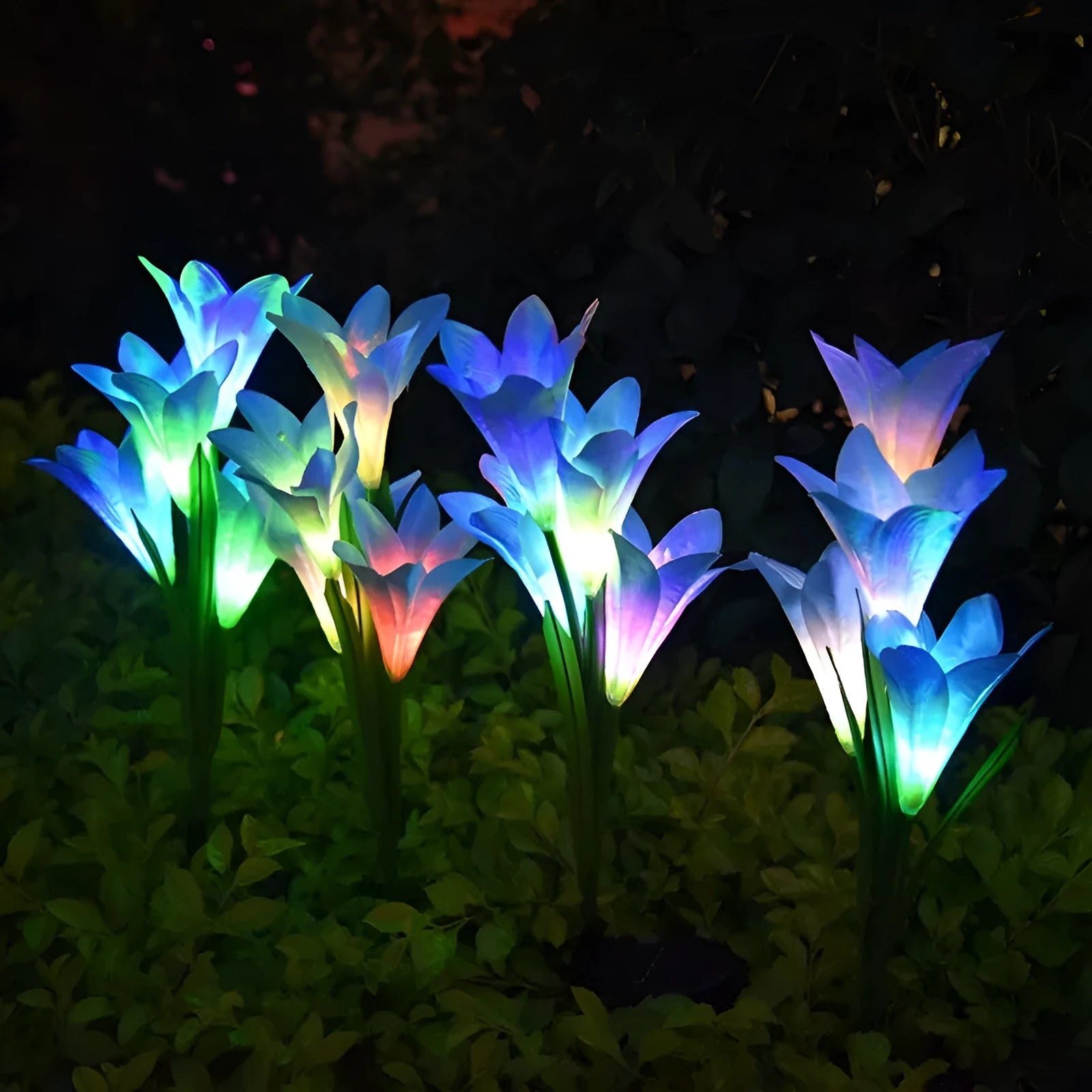 Solar powered LED garden ground lamp with flower shape design in multiple colours