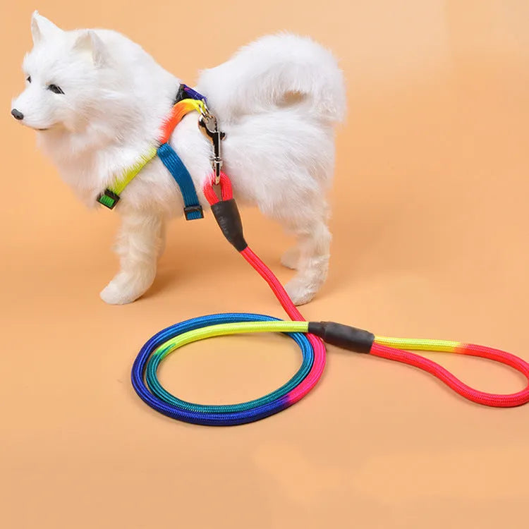 Colourful nylon round hand holding dog rope leash for walking and training, with three size options