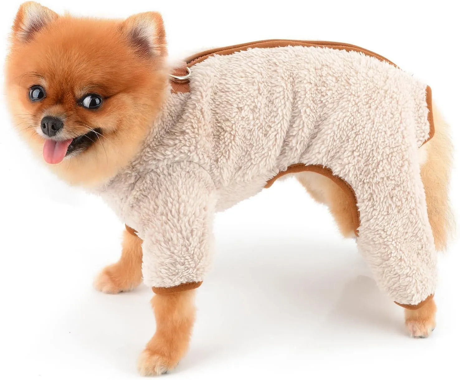 Green plush fleece dog jumpsuit on a small dog, showing zipper back and leg coverage.