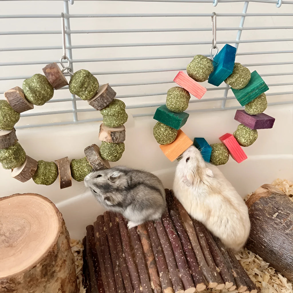 Hamster toy decorative ring with Applewood and colour sequin straw balls for small pets