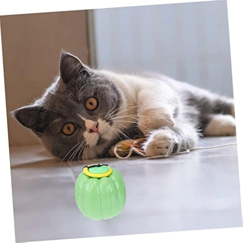 Green, orange, and yellow 69mm Halloween pumpkin dog training ball with squeaker