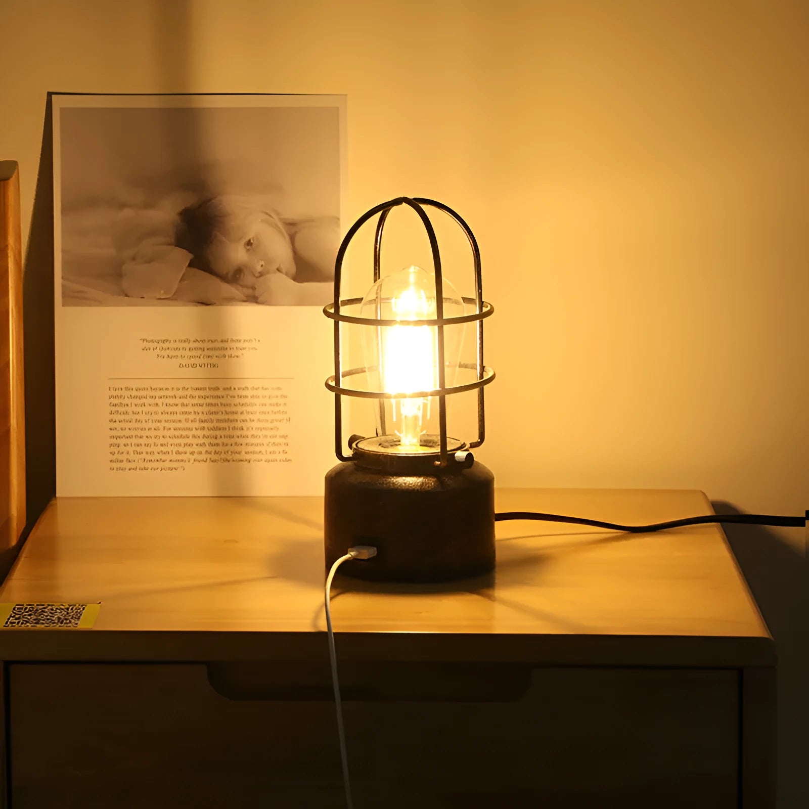 Retro industrial study night light with USB charging and dimming, metal body, 103x225mm, E26 base