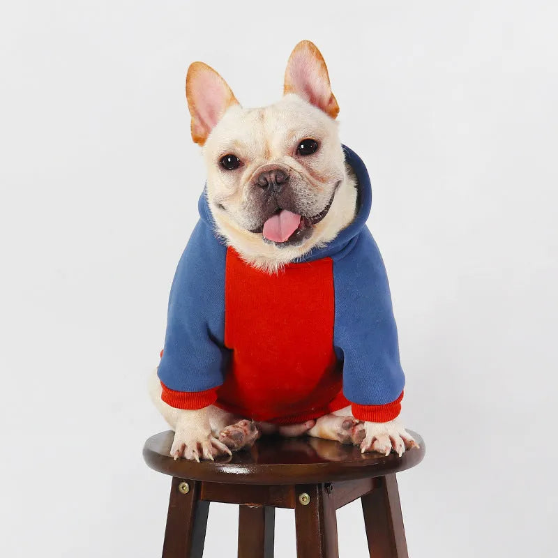 Red cotton dog clothing for small and medium-sized breeds like Teddy and Corgi for autumn and winter.