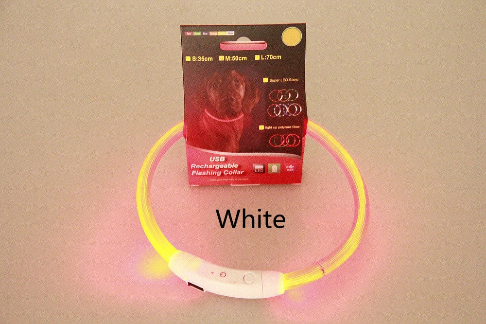 USB rechargeable pet safety collar with LED light for night visibility