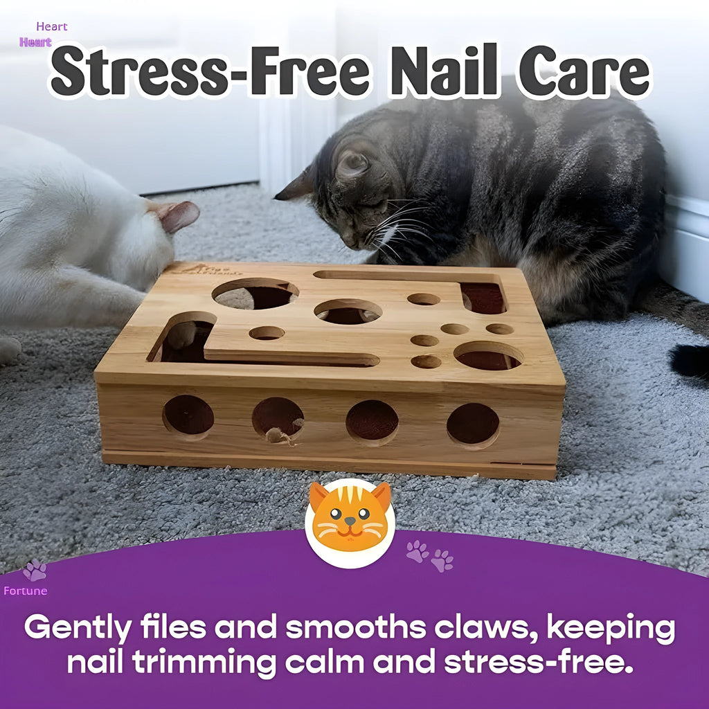 Solid wood square maze cat toy in natural wood colour on a floor