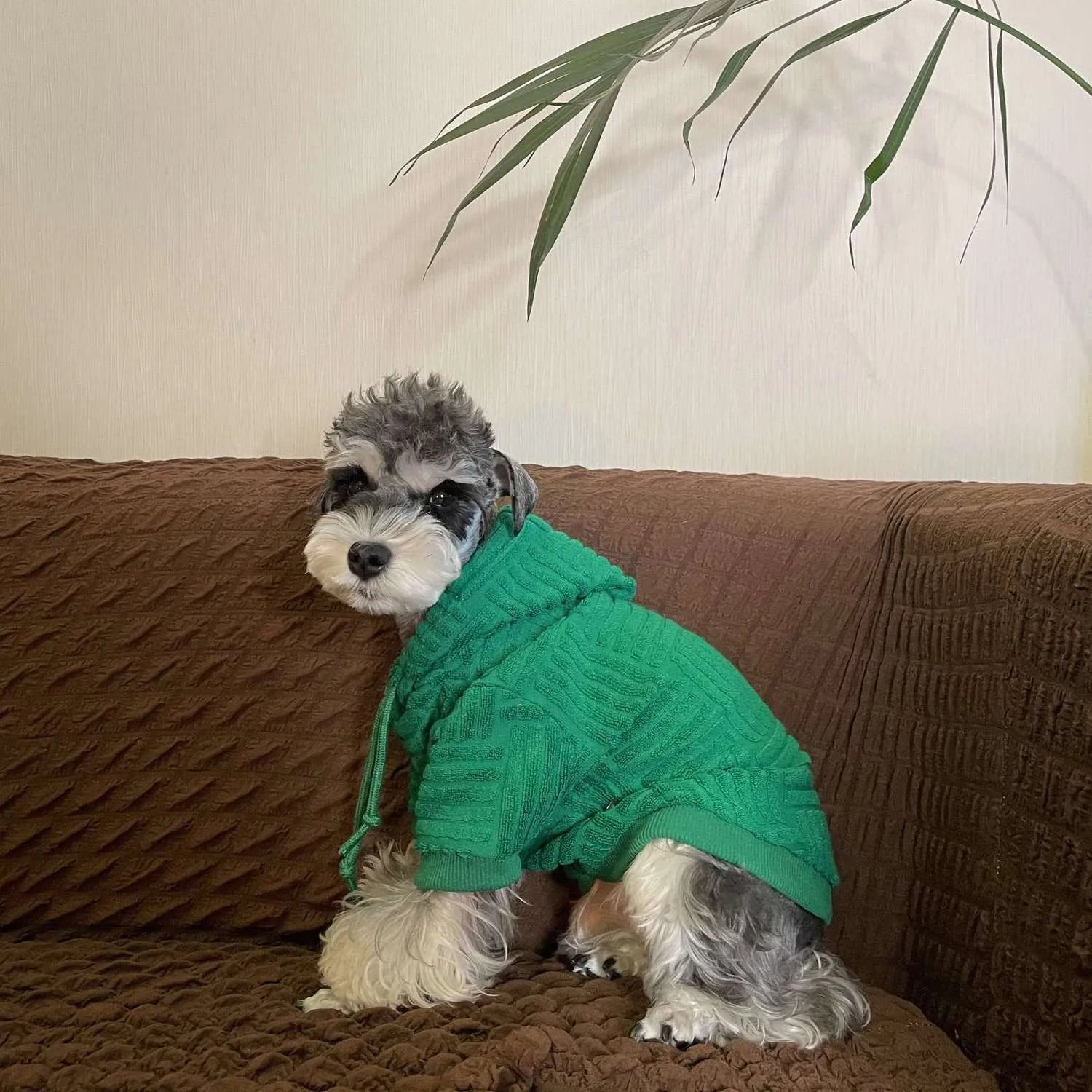 Green hooded polyester sweater for small dogs and cats, sizes S to XXL
