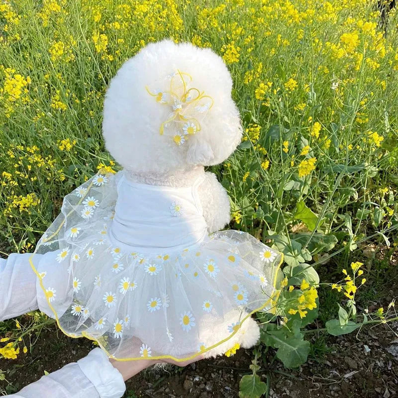 Yellow daisy print dog t-shirt on mannequin showing lightweight polyester summer pet clothing