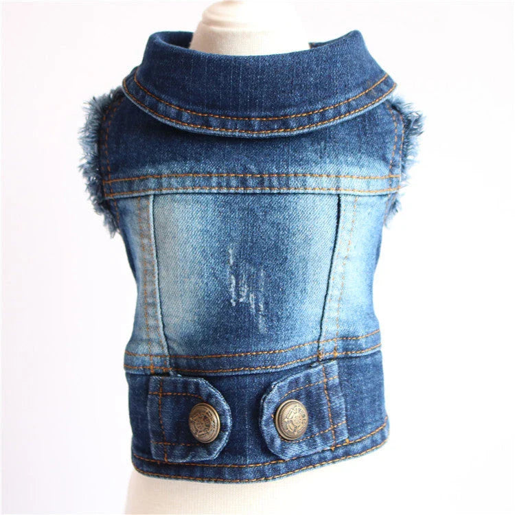 Stylish denim dog jacket with various designs like hoods, fringes, and patterns for trendy pet fashion