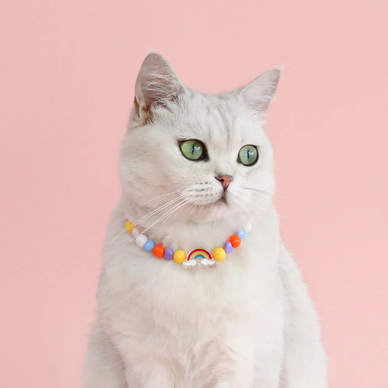 Colourful plastic bead necklace for cats in peach, rainbow, or small flower patterns with adjustable XS or S sizing