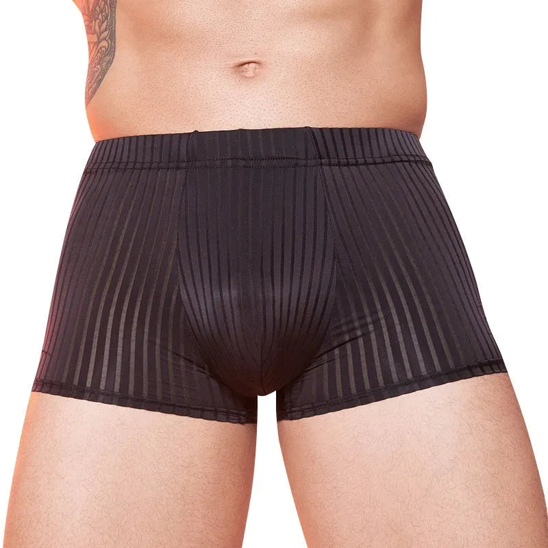 Men's thin transparent striped nylon briefs in black, dark grey and white colours.