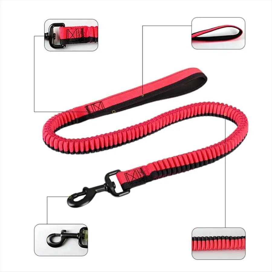 Green anti-violence dog training leash with elastic shock-resistant design and metal clip