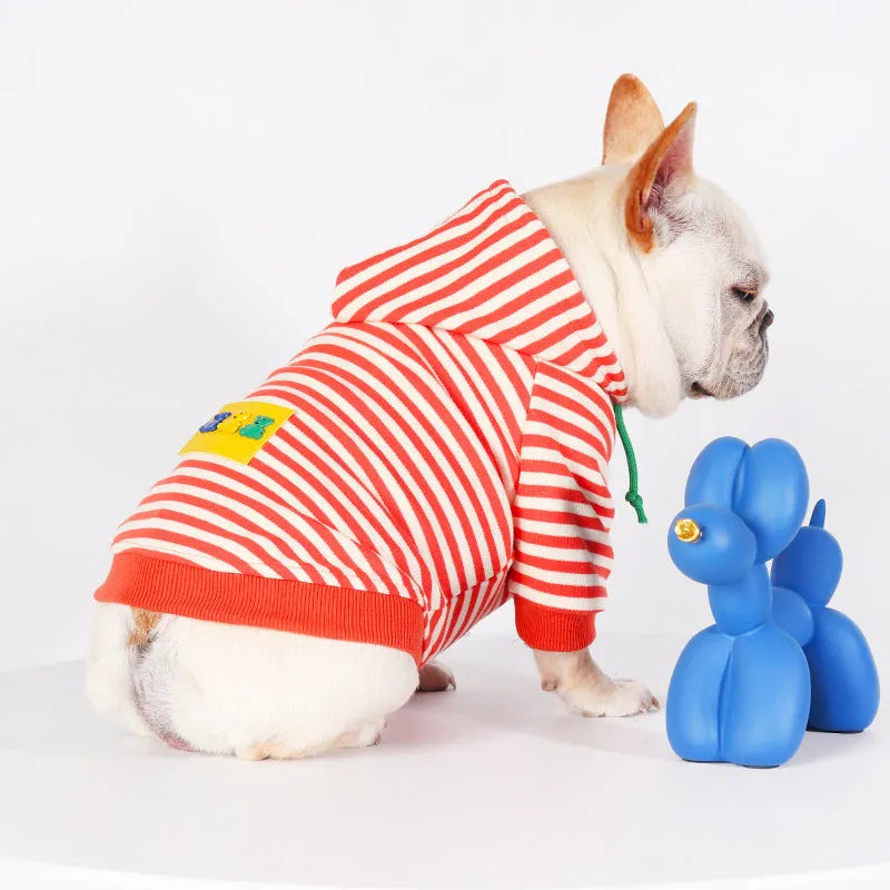 Orange cotton dog hooded sweater with Jarre Aero Bull Pug style on a mannequin.