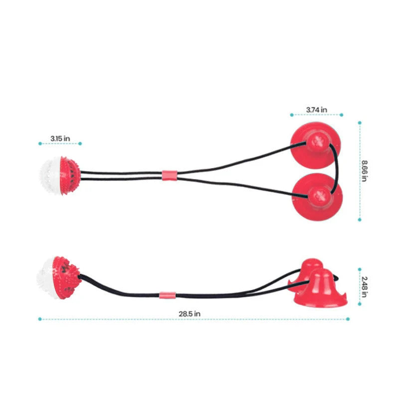 Durable suction cup molar toy for dogs promoting dental health through play