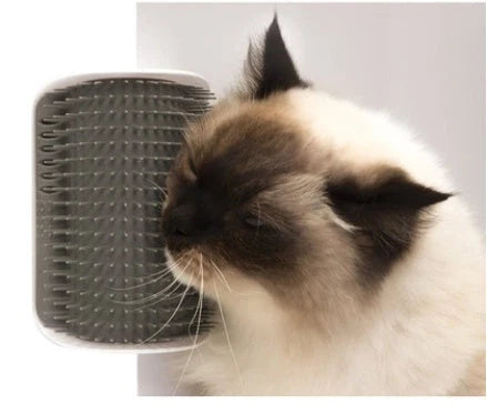 Wall-mounted cat self-grooming brush with soft rubber bristles and catnip attraction