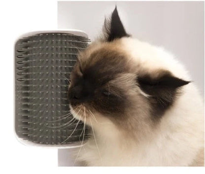 Wall-mounted cat self-grooming brush with soft rubber bristles and catnip attraction