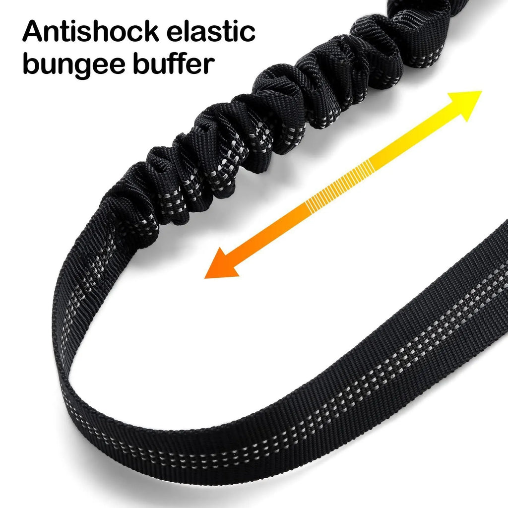 Nylon dog leash with metal buckle in multiple colour options