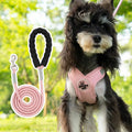 Blue polyester dog harness vest with an attached hand-holding rope on a medium-sized dog.