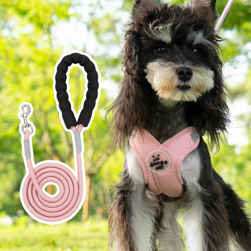 Blue polyester dog harness vest with an attached hand-holding rope on a medium-sized dog.