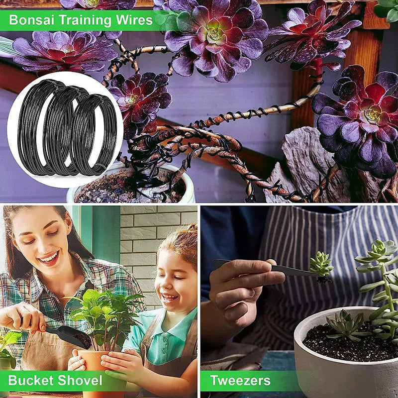 24-piece stainless steel bonsai tools set for potted plant pruning and maintenance, arranged on a flat surface showing various tool shapes.