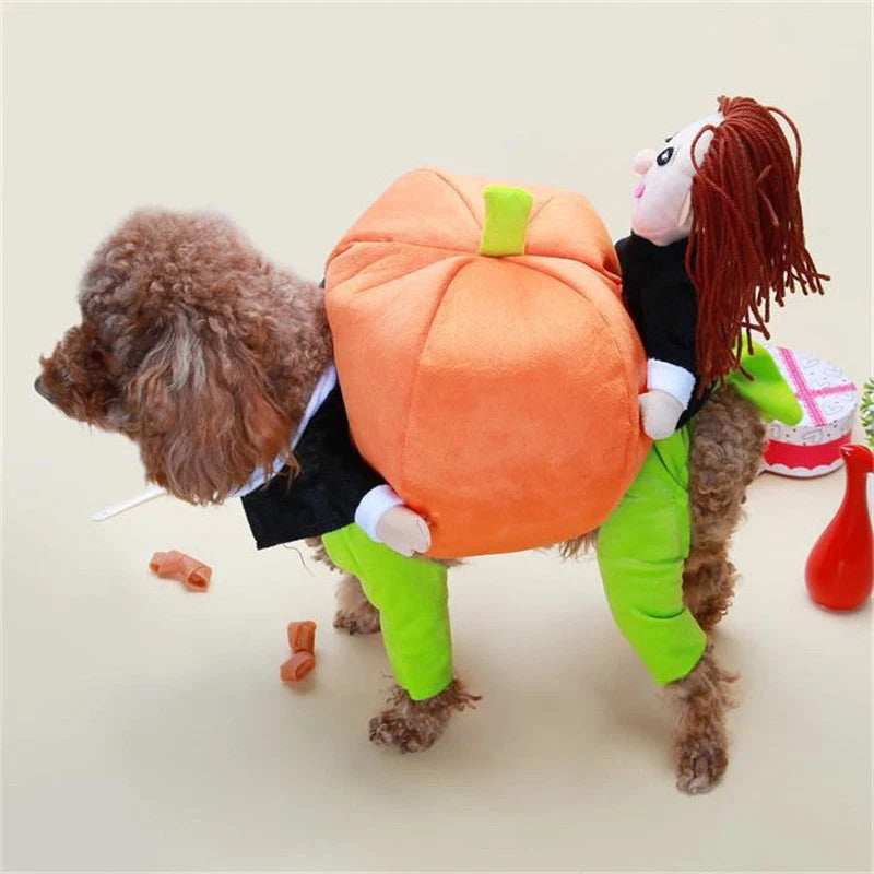 Orange cotton pet Halloween pumpkin dress with adjustable Velcro