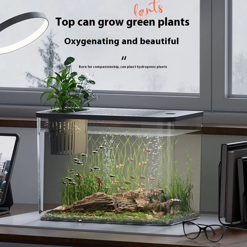 Medium black and white plastic betta fish tanks with lids on a plain background.