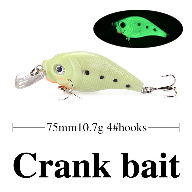 Set of five 3D fluorescent simulation luminous hard bait fishing lures
