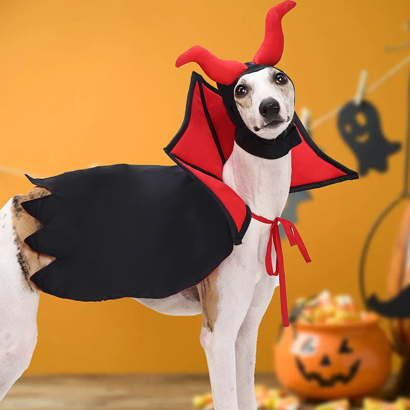 Black Halloween vampire costume for pets including cloak and hat on animal model