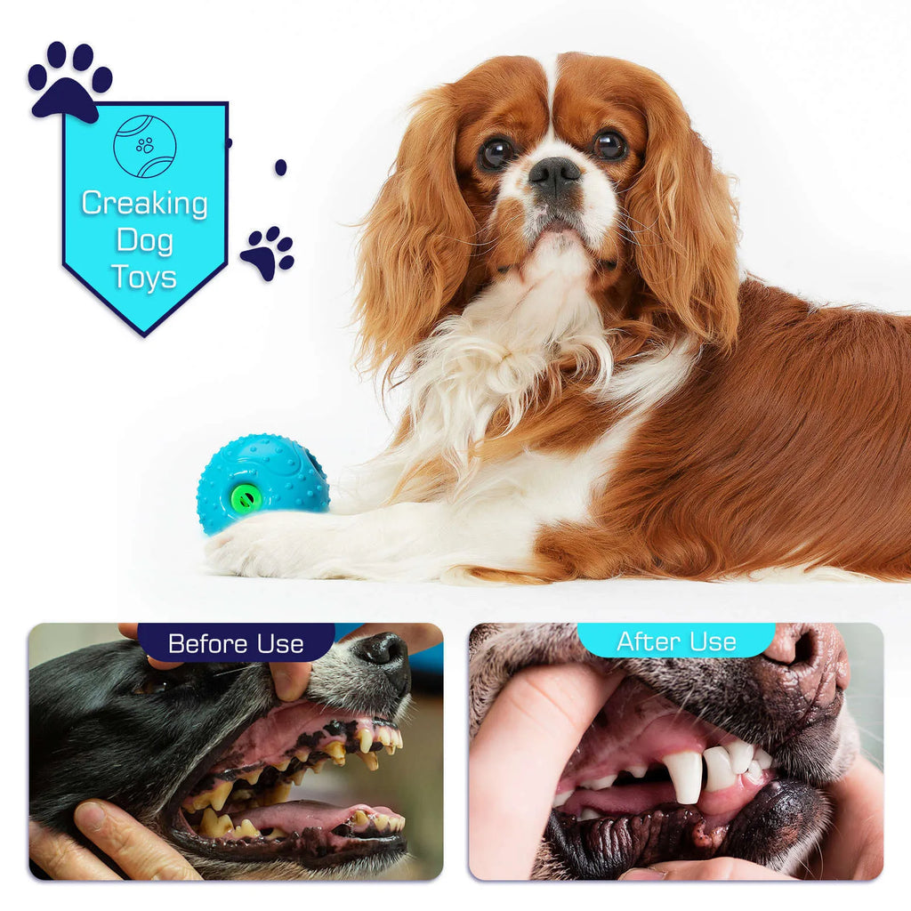 Blue Pet Squall Ball dog toy made from TPR material with 12.5cm diameter placed on grass