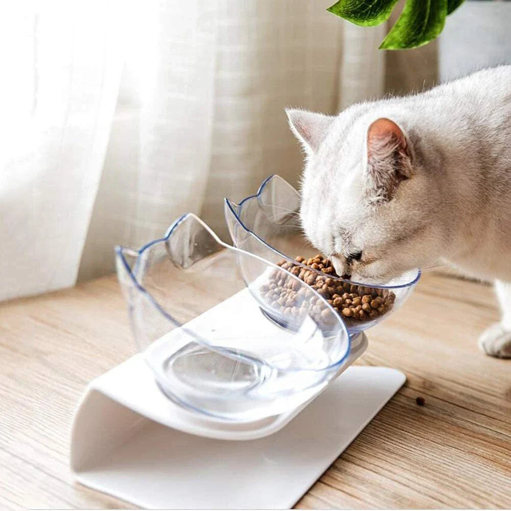 Elevated pet bowls with 15-degree tilted design to support pet's neck and reduce strain