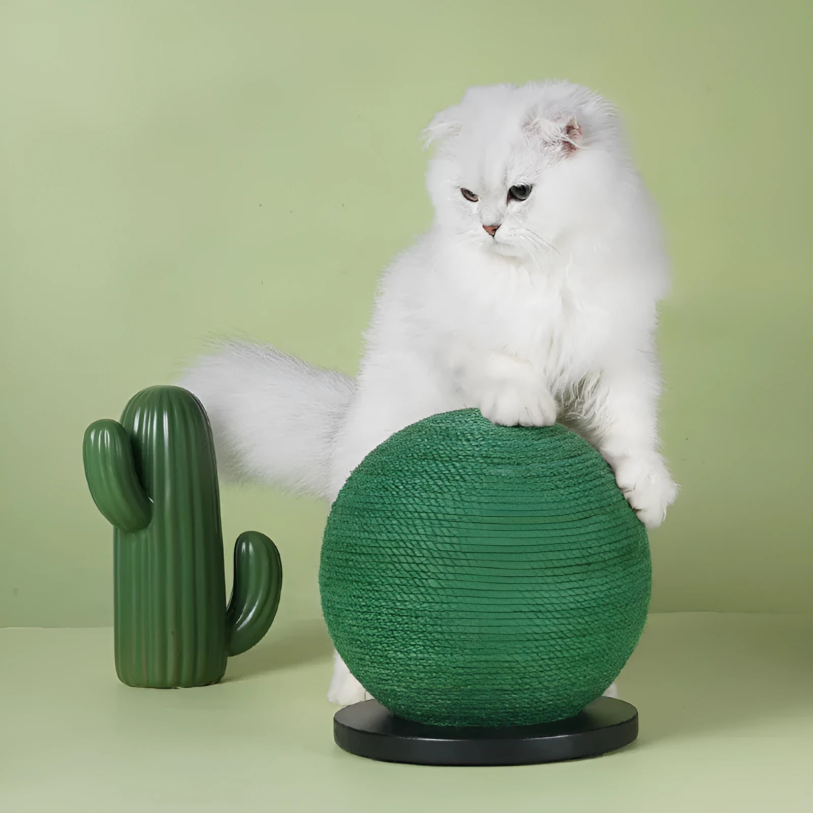 Cat scratching ball board toy cactus shape sisal rope black background 20x20x22 cm