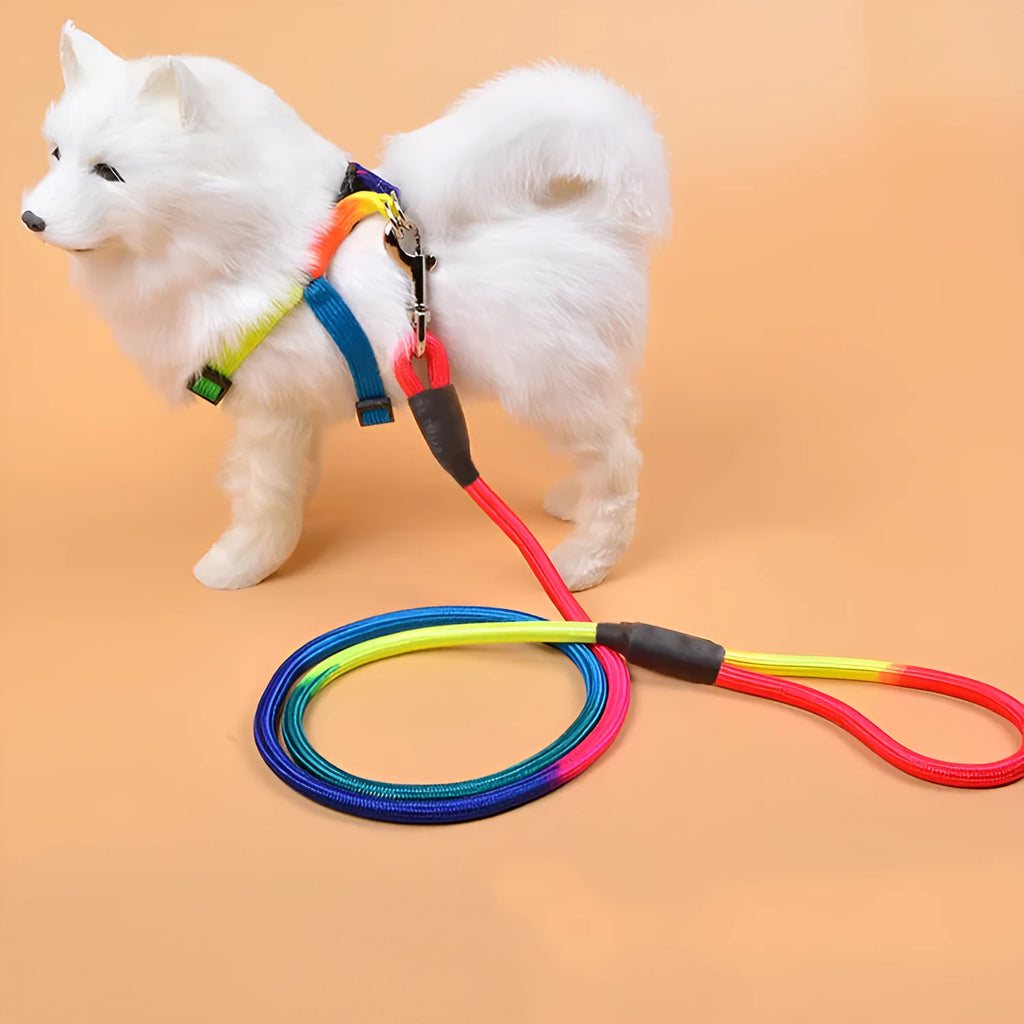 Colourful nylon round hand holding dog rope leash for walking and training, with three size options