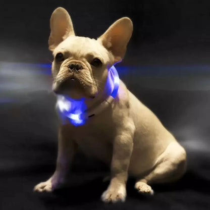 LED Pet Light Collar for Dogs in Blue with Adjustable Modes