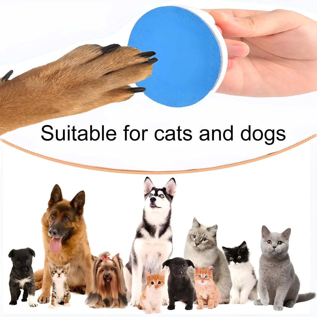 Square dog nail file board with ergonomic handle in one of four colours: black, blue, green, or yellow.