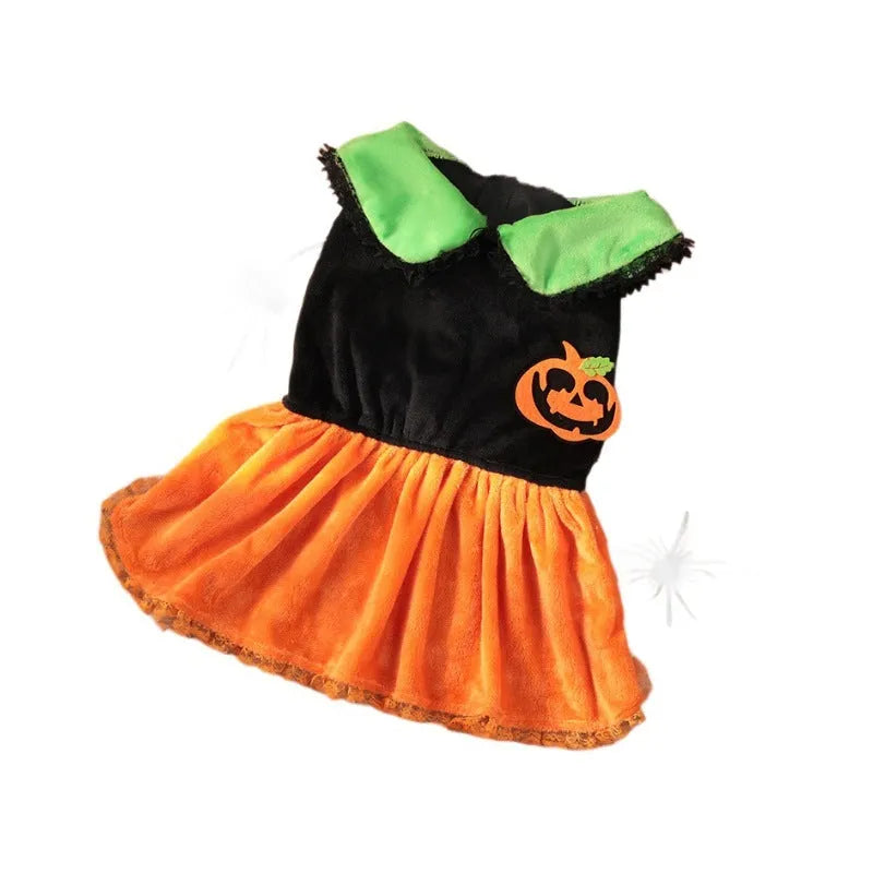 Halloween pet costume showing pumpkin skirt and sweater options in crystal velvet material for dogs and cats