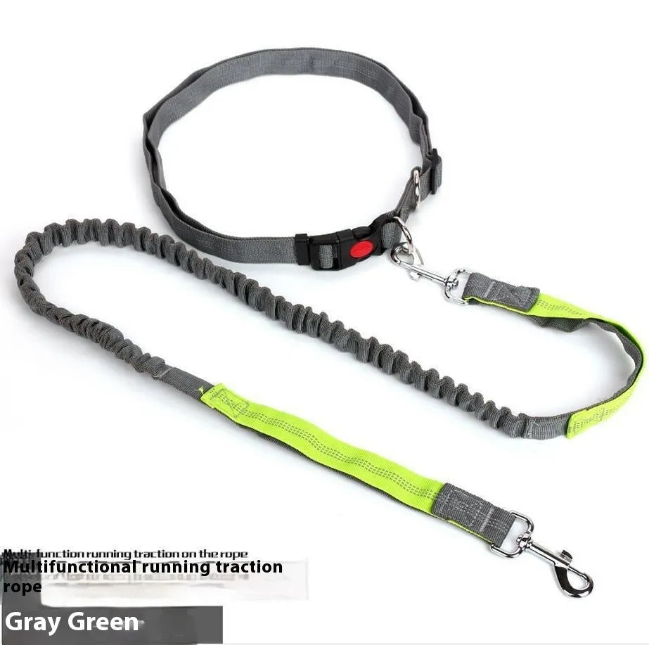 Grey and green reflective elastic dog leash for outdoor running, showing 2.5cm wide nylon construction.