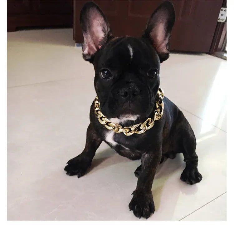 Gold chain dog collar with geometric plastic and resin ornaments on small dog neck