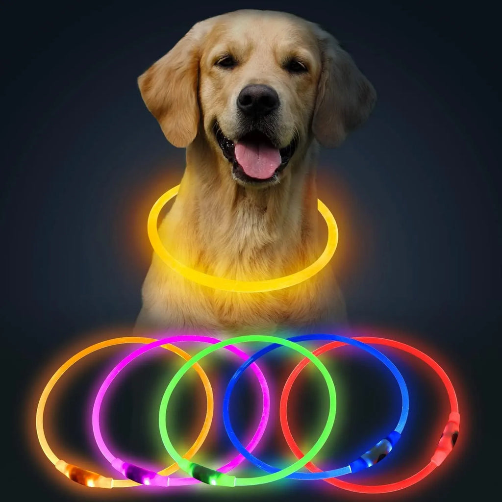 USB rechargeable LED light-up dog collar in blue, showing the light unit and adjustable TPU strap.