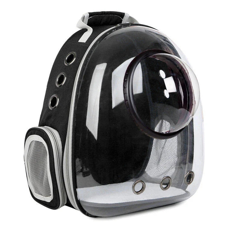 Premium pet carrier with transparent design and breathable mesh panels for Kiwi cat owners