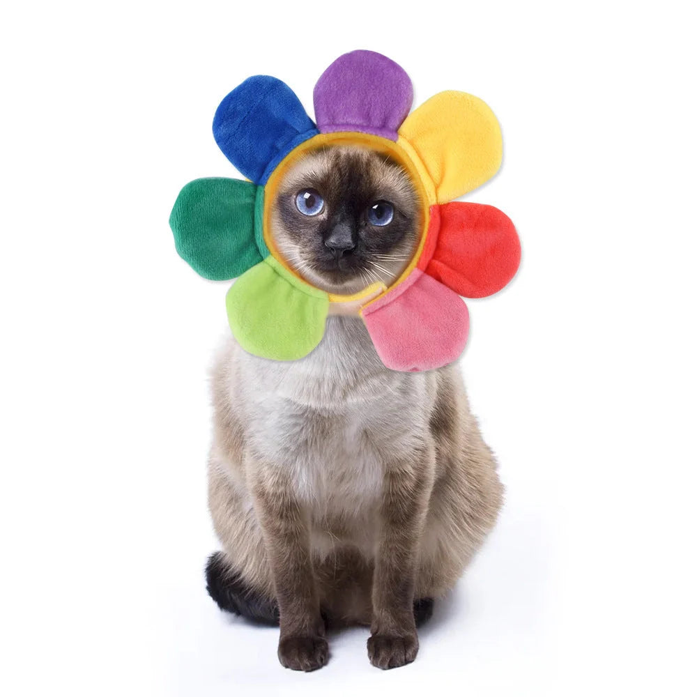 Cartoon-style cloth hat for cats in various designs, perfect for warmth and style