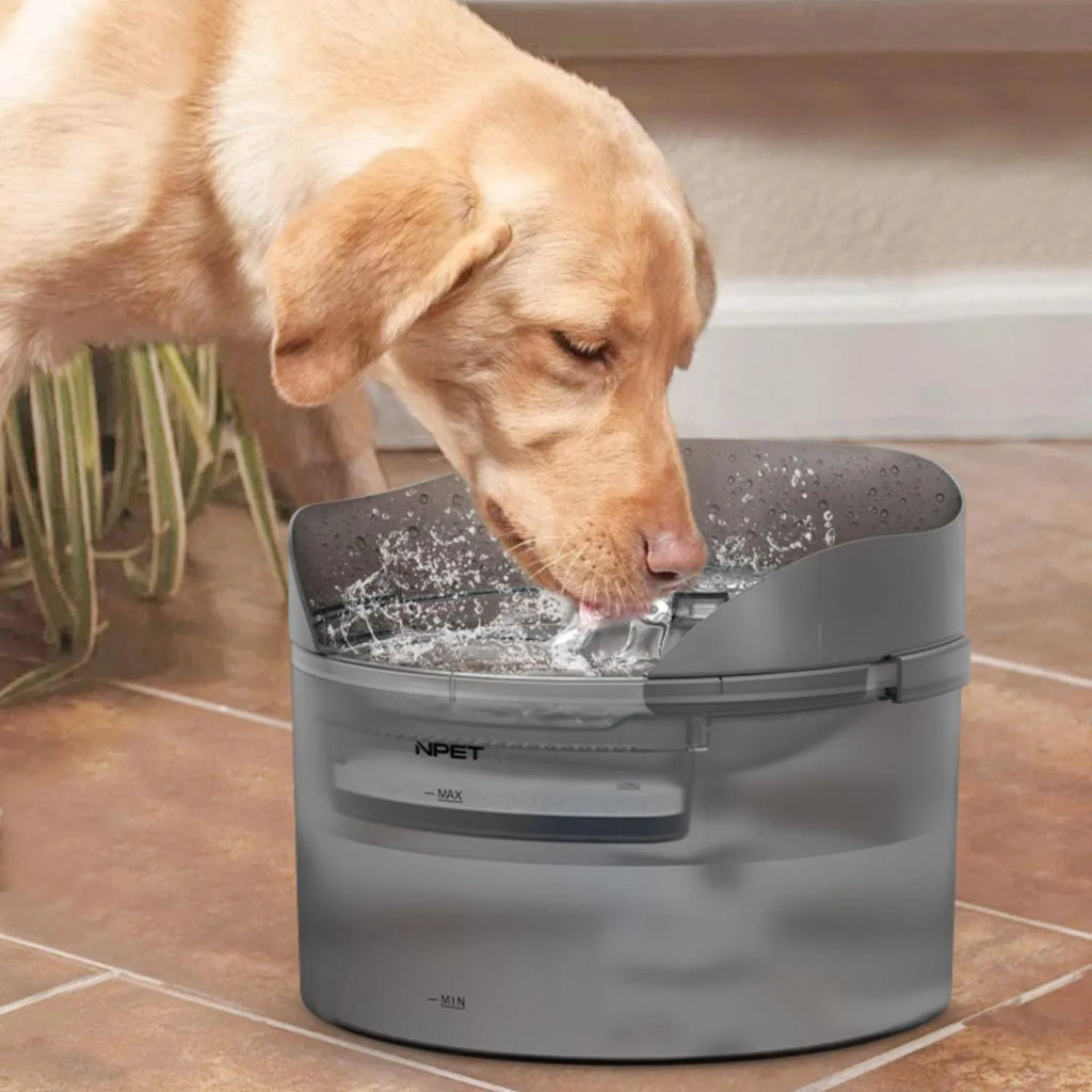 Automatic pet water fountain dispenser with flowing water circulation for cats and dogs