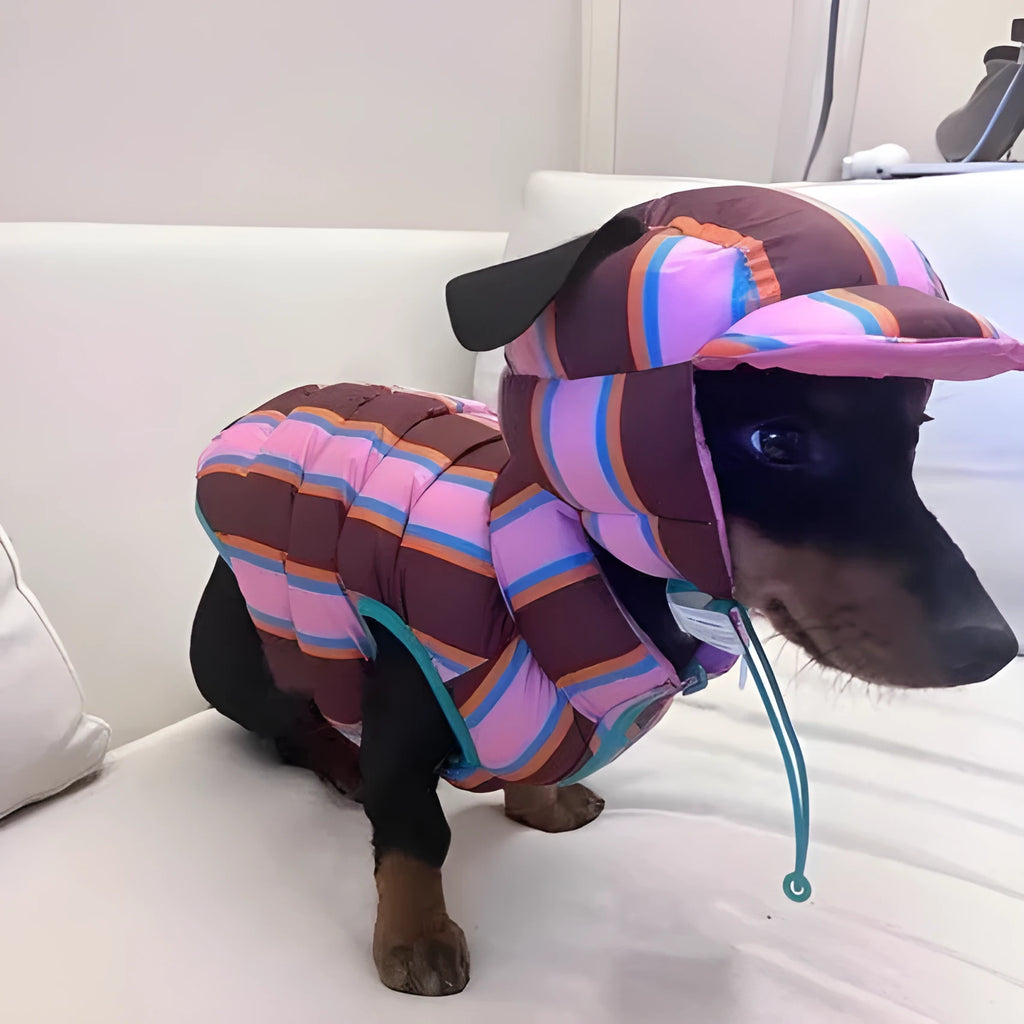 Dirty pink striped dog vest and matching hat set for autumn and winter wear.